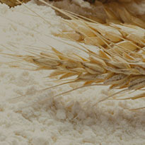麵粉<i>小麦粉</i>